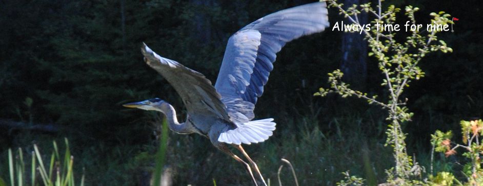 Picturesque nine hole golf course in Lanark Ontario, near Perth and Ottawa - tree lined fairways, meandering creek and challenging elevation changes