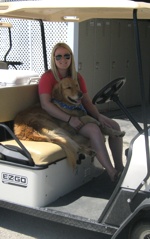 Picturesque nine hole golf course in Lanark Ontario, near Perth and Ottawa - tree lined fairways, meandering creek and challenging elevation changes